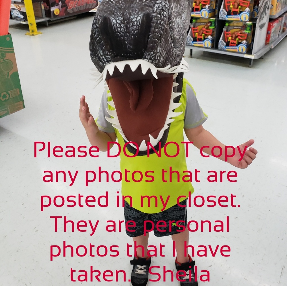 All photos are property of Sheila Williams